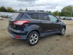 FORD ESCAPE SE photo