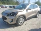 FORD ESCAPE SE photo