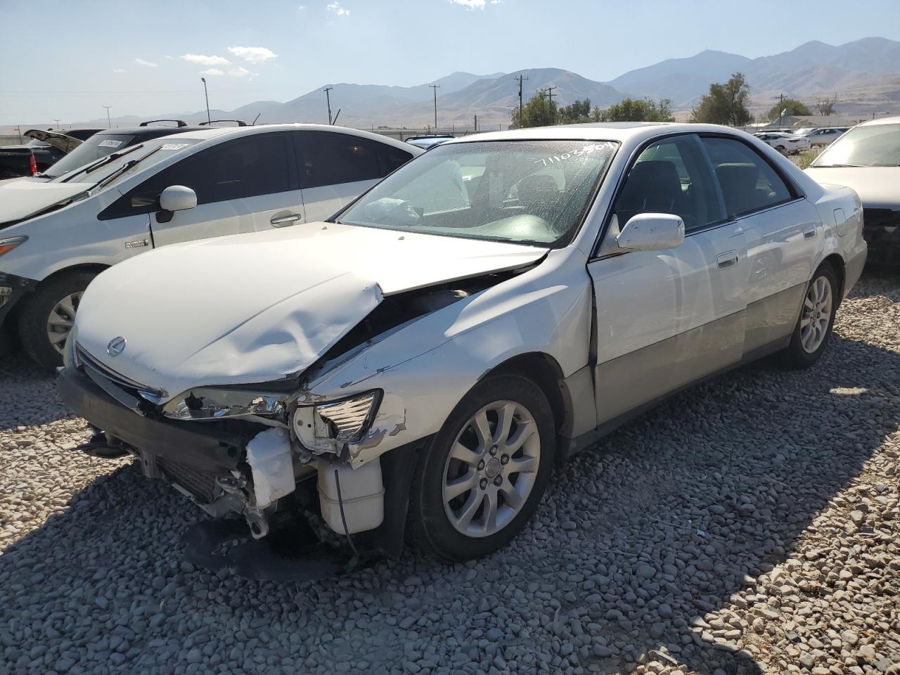 Lot #3030552829 2001 LEXUS ES 300