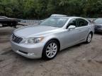 LEXUS LS 460 photo