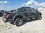 FORD F150 RAPTO photo