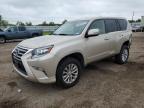 LEXUS GX 460 photo