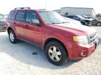 FORD ESCAPE XLT photo