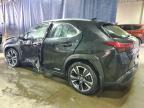 LEXUS UX 250H photo