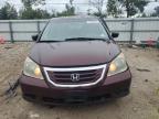 HONDA ODYSSEY/LX photo