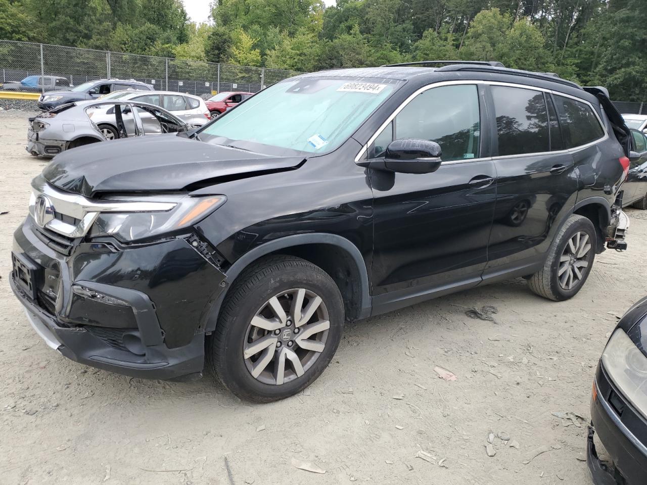 Lot #2909696261 2019 HONDA PILOT EXL