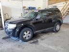 FORD ESCAPE XLT photo