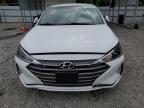 HYUNDAI ELANTRA SE photo