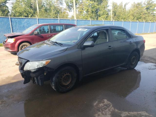 Vin: 2t1bu4ee4ac415824, lot: 71981684, toyota corolla base 2010 img_1