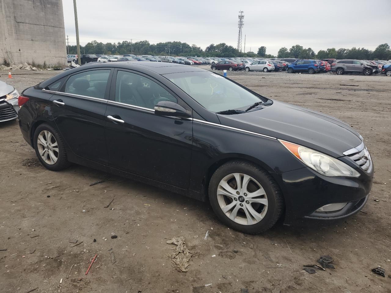 Lot #3024964440 2011 HYUNDAI SONATA SE