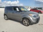 KIA SOUL + photo