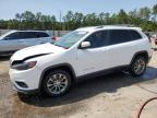 2019 JEEP CHEROKEE L - 1C4PJLLB5KD387537