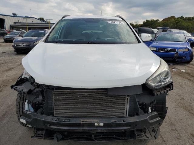 2017 HYUNDAI SANTA FE S - 5NMZU3LB0HH049219
