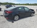 Lot #2940828629 2020 HYUNDAI ELANTRA SE