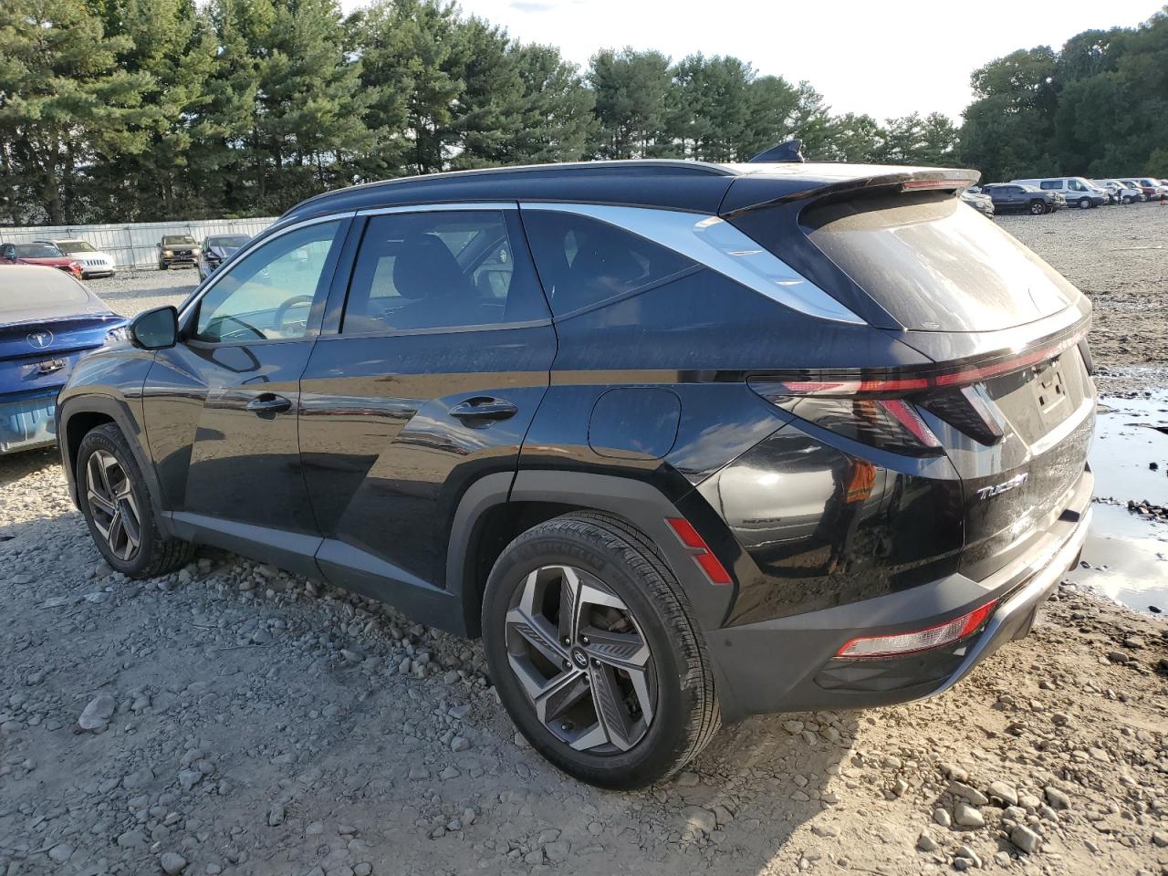 Lot #2969990077 2022 HYUNDAI TUCSON LIM