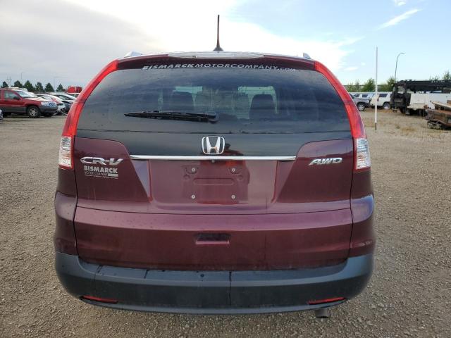 VIN 5J6RM4H74EL055877 2014 Honda CR-V, Exl no.6