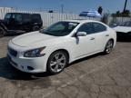 NISSAN MAXIMA S photo