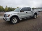 FORD F150 SUPER photo