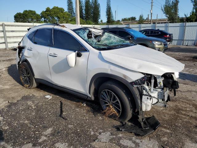2023 LEXUS NX 250 JTJADCAZ9P2006527