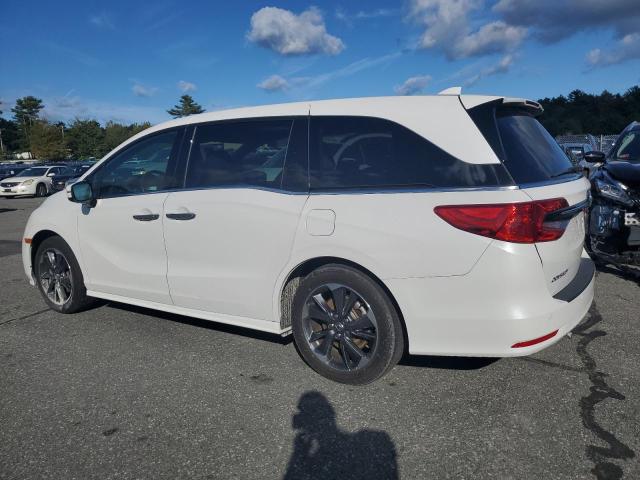 2023 HONDA ODYSSEY EL - 5FNRL6H96PB015568