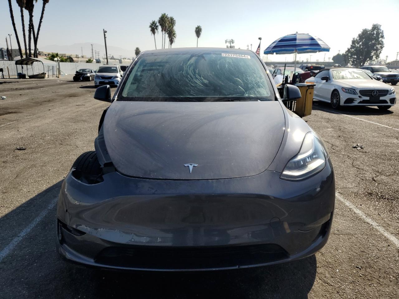 Lot #3033461085 2021 TESLA MODEL Y