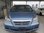 HONDA ODYSSEY EX photo