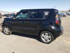 KIA SOUL + photo