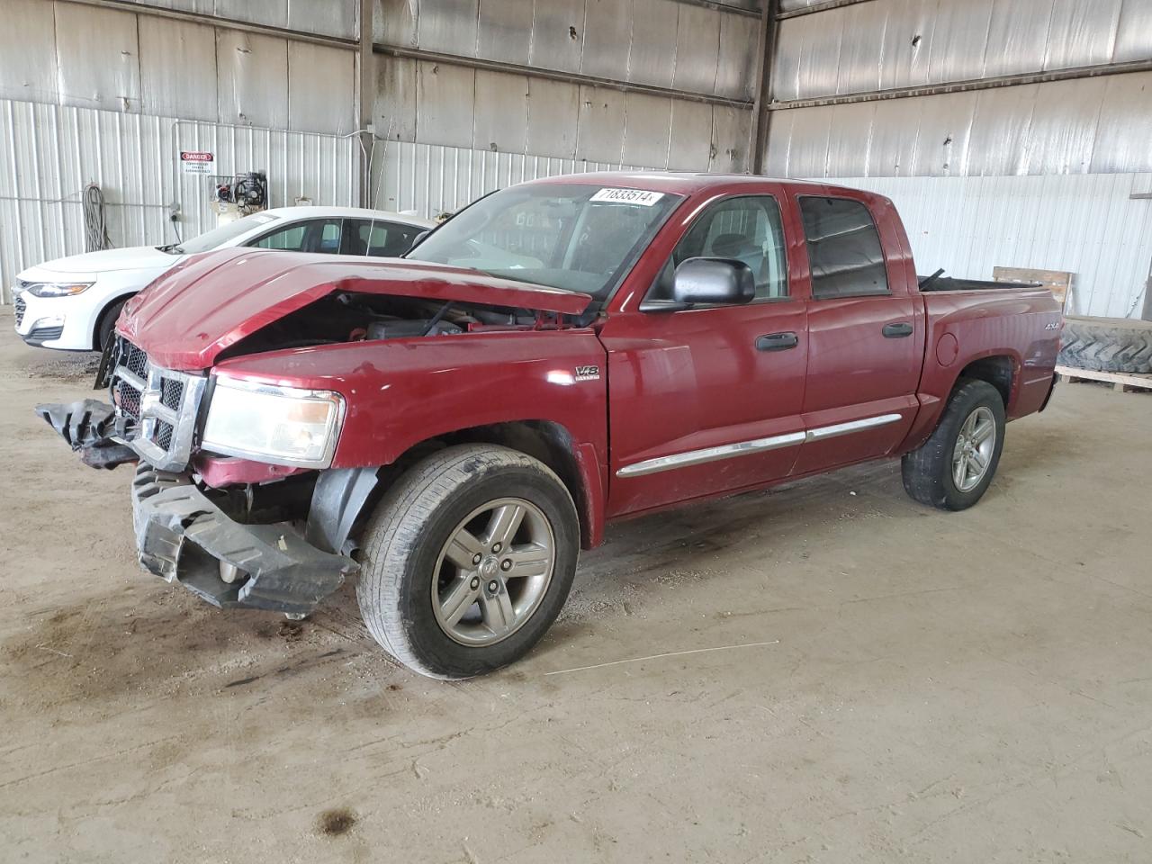 Lot #2976754794 2010 DODGE DAKOTA LAR