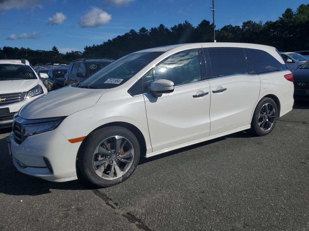 Lot #2928138397 2023 HONDA ODYSSEY EL