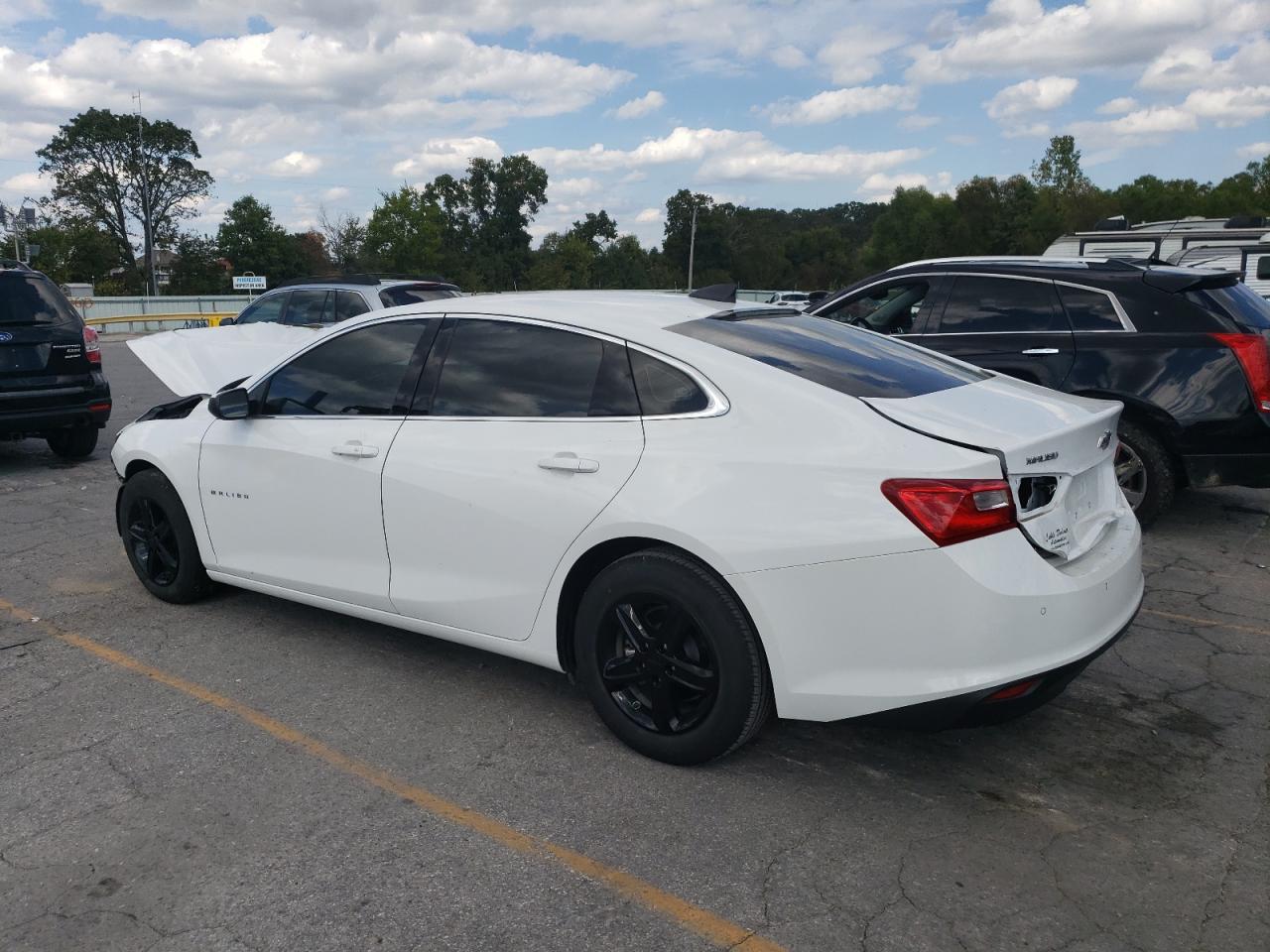 Lot #3009194287 2023 CHEVROLET MALIBU LS