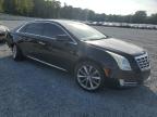 CADILLAC XTS LUXURY photo