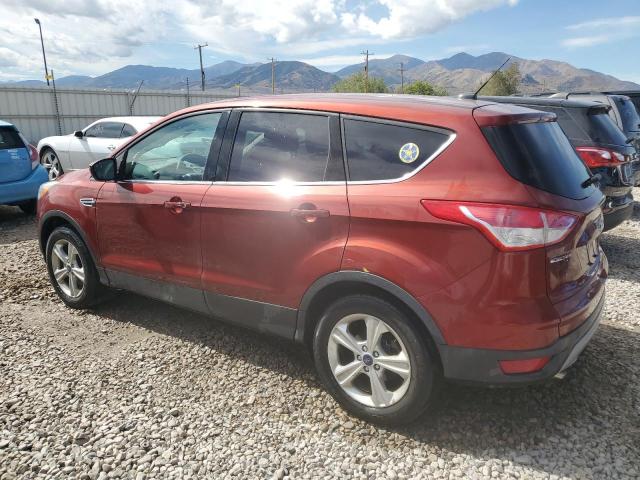 VIN 1FMCU9GX3EUD80374 2014 Ford Escape, SE no.2