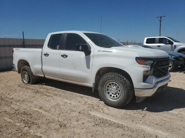 2023 CHEVROLET SILVERADO - 1GCRDAED3PZ133659