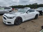 FORD MUSTANG GT photo