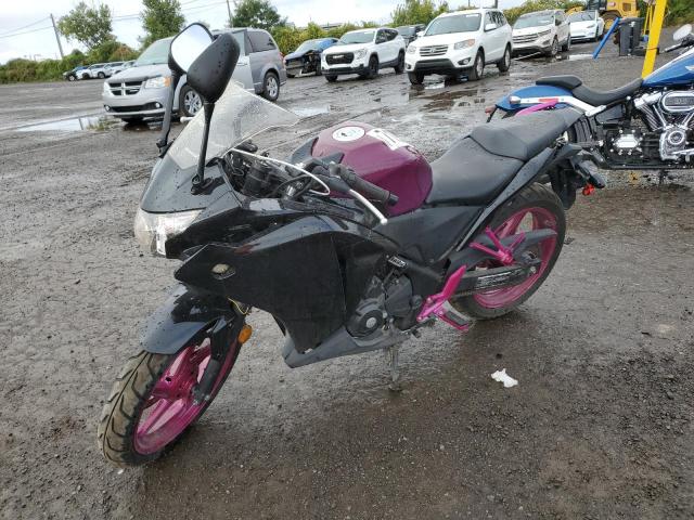 2012 HONDA CBR250 R MLHMC4124C5200576