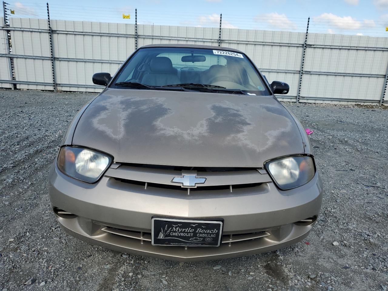 Lot #3052427874 2005 CHEVROLET CAVALIER