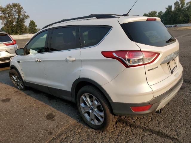 VIN 1FMCU0HXXDUB60884 2013 Ford Escape, Sel no.2