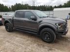 FORD F150 RAPTO photo