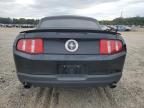 Lot #3023326270 2011 FORD MUSTANG