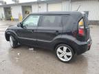 KIA SOUL + photo