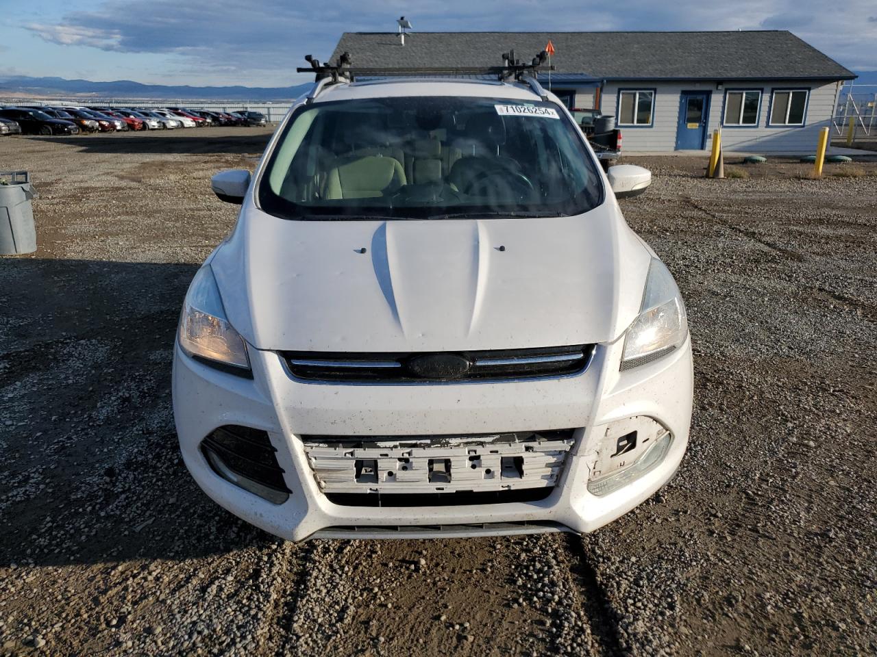 Lot #2955517507 2014 FORD ESCAPE TIT