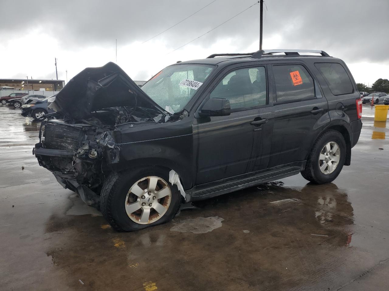 Lot #2855416641 2011 FORD ESCAPE LIM