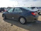 TOYOTA CAMRY L photo