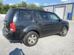 HONDA PILOT EXLN photo