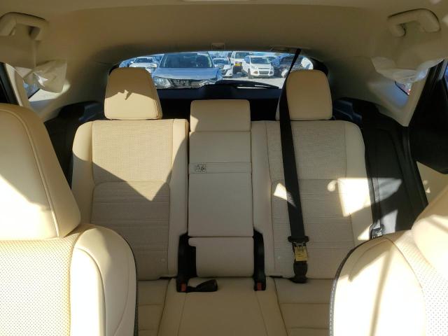 2020 LEXUS NX 300H - JTJGJRDZ8L5008327