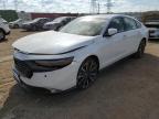 2024 HONDA ACCORD TOU - 1HGCY2F87RA056184