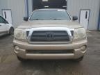 TOYOTA TACOMA DOU photo