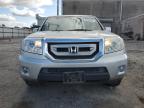 HONDA PILOT EXL photo