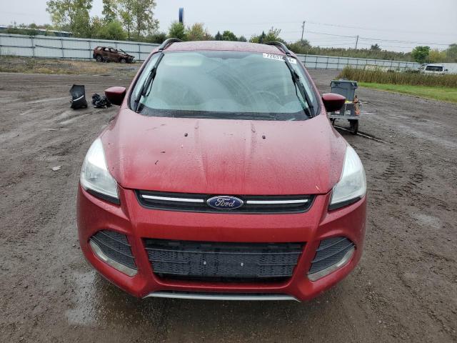 VIN 1FMCU0G9XEUE10631 2014 Ford Escape, SE no.5