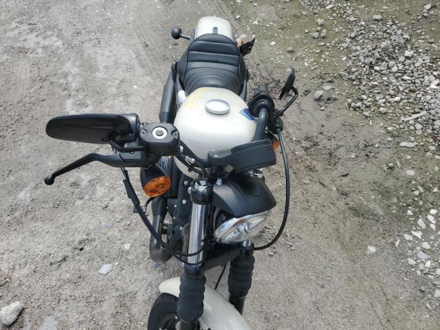 2022 HARLEY-DAVIDSON XL883 N - 1HD4LE210NB415423